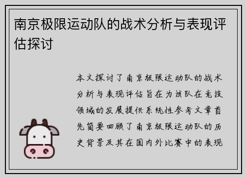南京极限运动队的战术分析与表现评估探讨